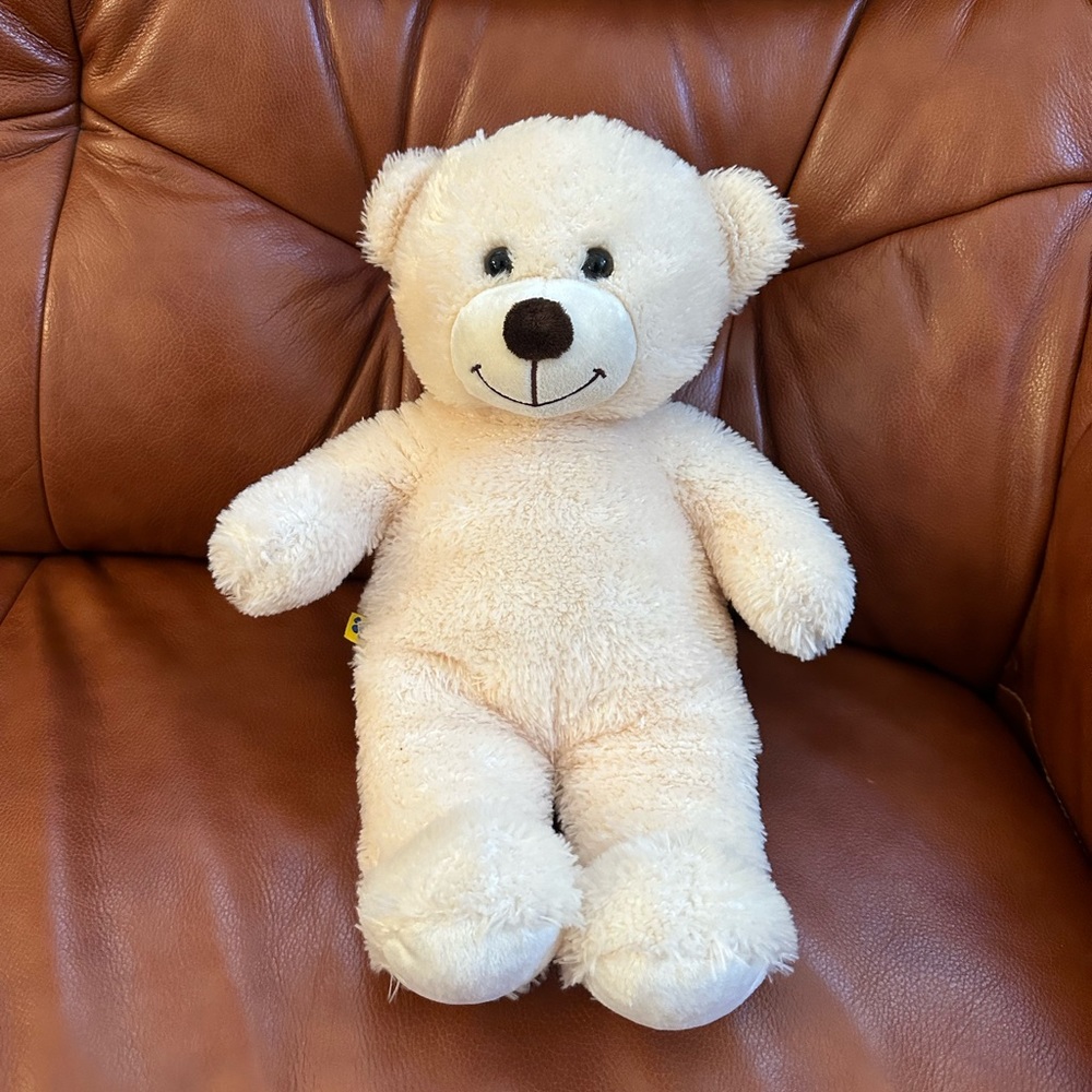 Build-a-Bear Teddy Bear - Picture 1 of 6